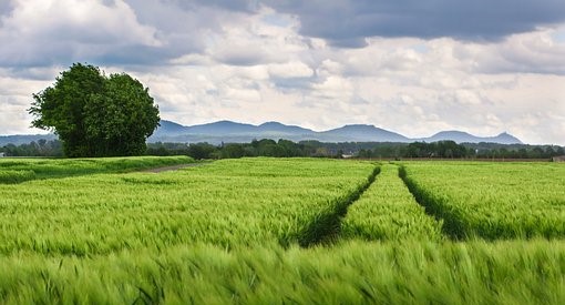 畜禽糞污秸稈綜合利用整縣推進(jìn)項(xiàng)目