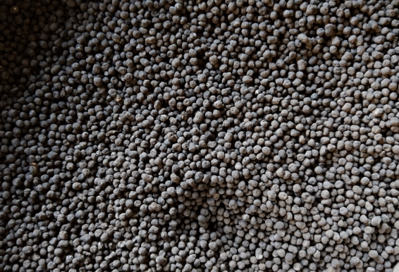 雞糞、豬糞、牛糞、羊糞哪種有機肥有什么區別？