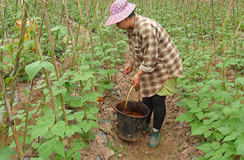 有機(jī)肥與化肥的區(qū)別